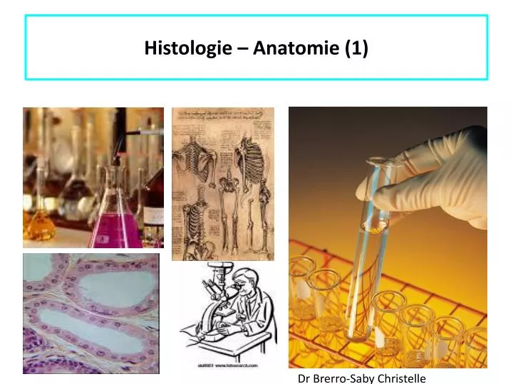 histologie anatomie 1