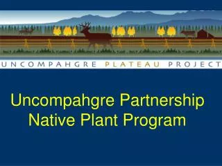 Uncompahgre Partnership Native Plant Program