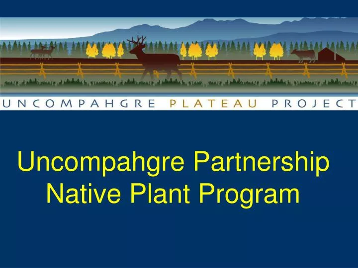 uncompahgre partnership native plant program
