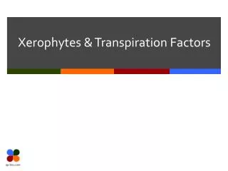 Xerophytes &amp; Transpiration Factors