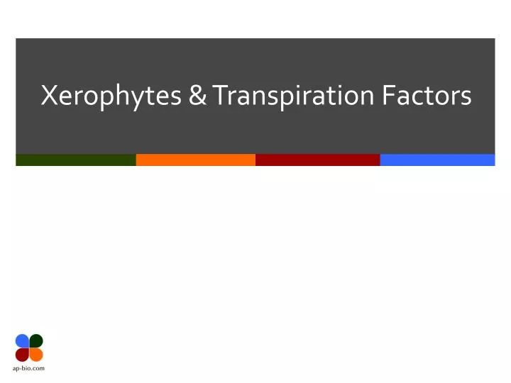 xerophytes transpiration factors