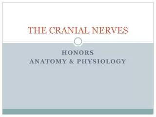 THE CRANIAL NERVES