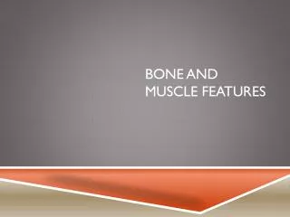 Bone and Muscle Features