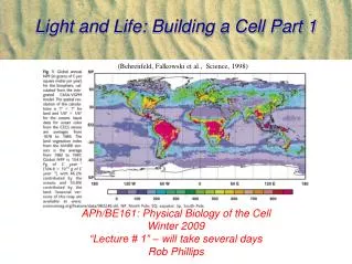Light and Life: Building a Cell Part 1
