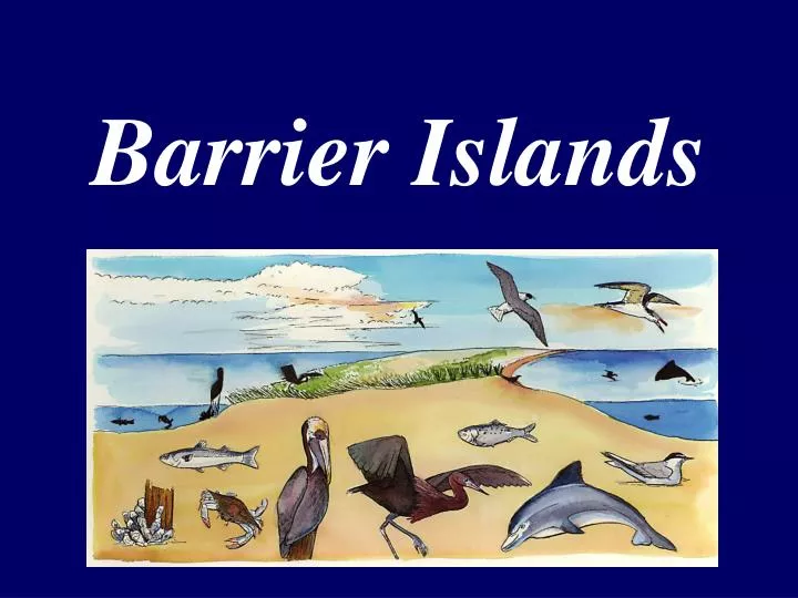 barrier islands