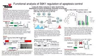 Functional analysis of S6K1 regulation of apoptosis control