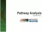 Pathway Analysis