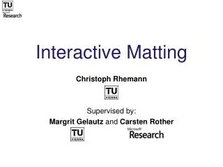 Interactive Matting