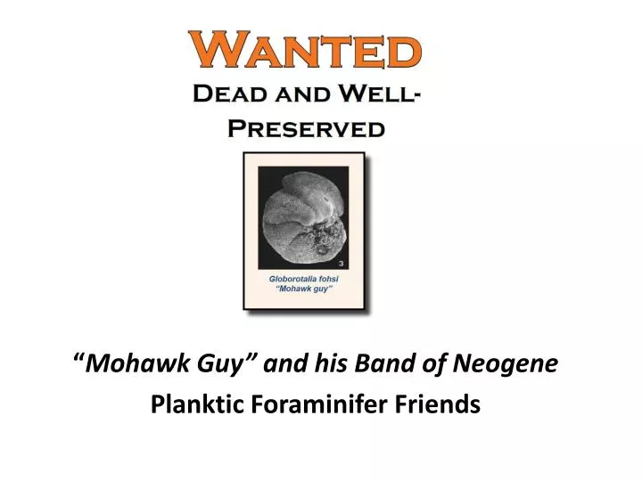 mohawk guy and his band of neogene planktic foraminifer friends