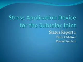 Stress Application Device for the Subtalar Joint