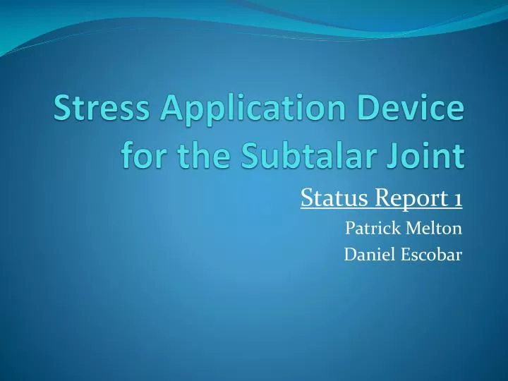 stress application device for the subtalar joint