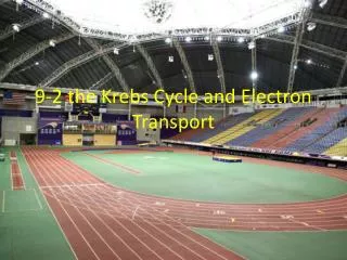 9-2 the Krebs Cycle and Electron Transport