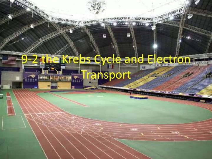 9 2 the krebs cycle and electron transport