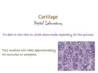 Cartilage Digital Laboratory