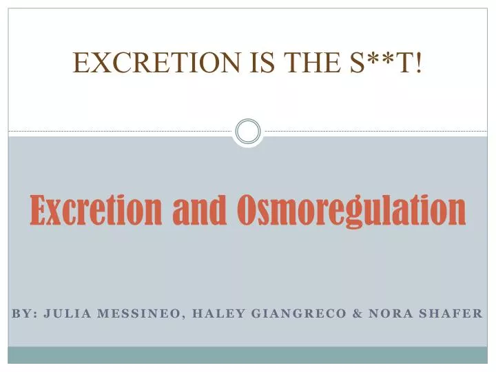 excretion and osmoregulation