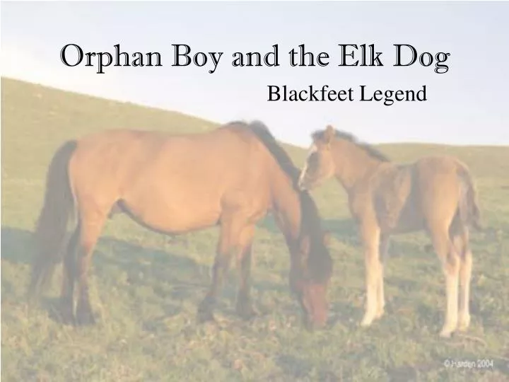 orphan boy and the elk dog