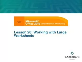 Lesson 20: Working with Large Worksheets