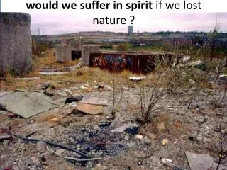 would we suffer in spirit if we lost nature ?