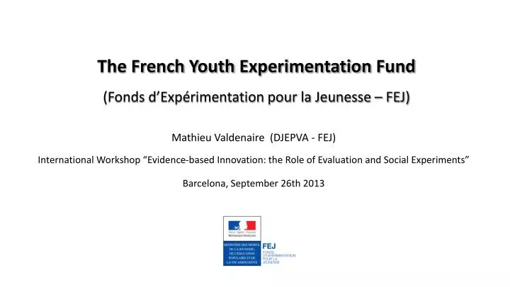 the french youth experimentation fund fonds d exp rimentation pour la jeunesse fej