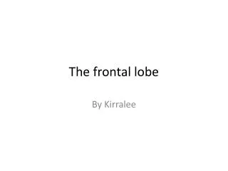 The frontal lobe