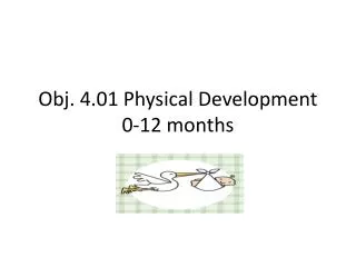 Obj. 4.01 Physical Development 0-12 months