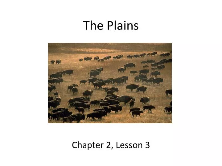 the plains