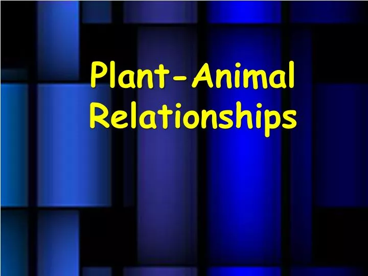 plant animal relationships