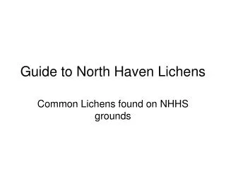 Guide to North Haven Lichens
