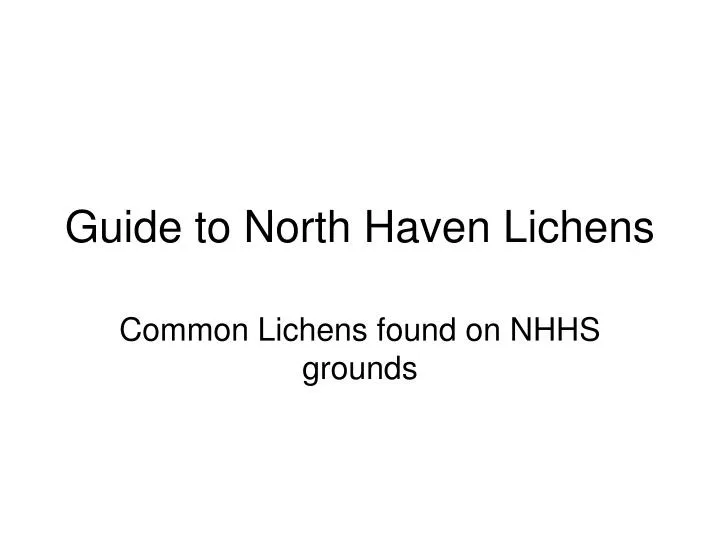 guide to north haven lichens