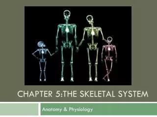 Chapter 5:The skeletal system