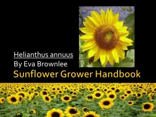 Sunflower Grower Handbook