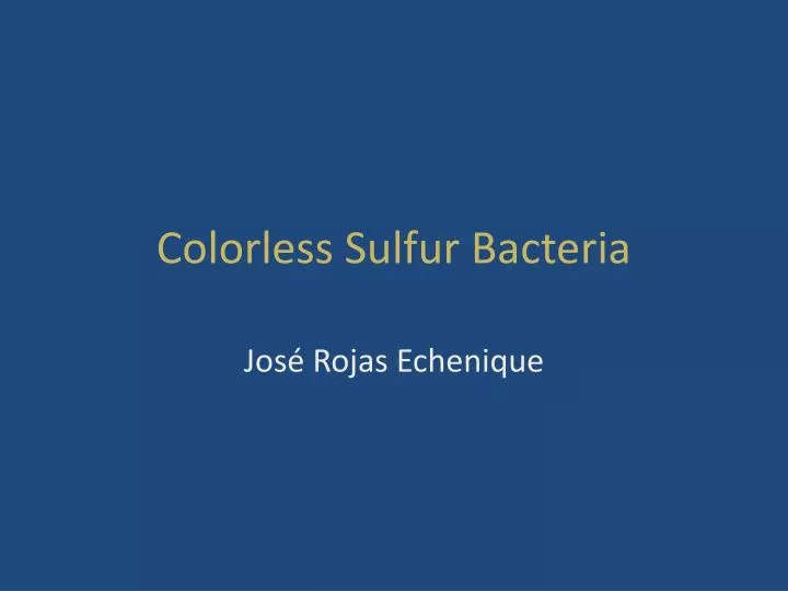 colorless sulfur bacteria
