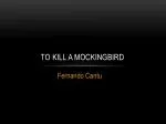To kill a mockingbird - slide 1