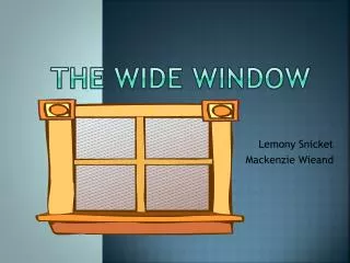 The wide window