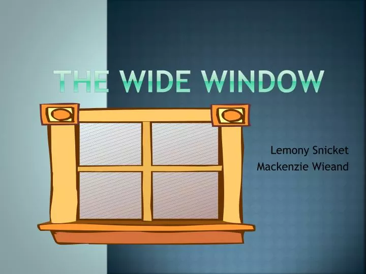 the wide window