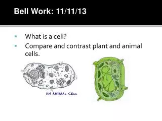 What is a cell? Compare and contrast plant and animal cells.