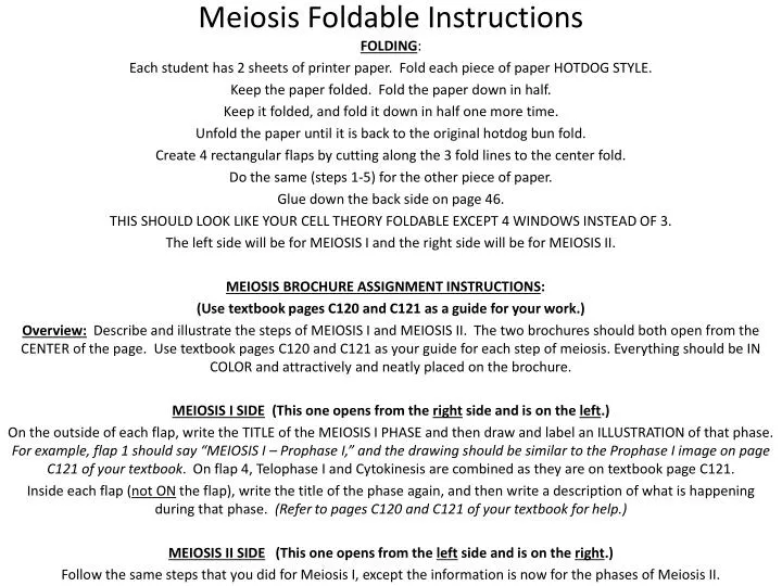 meiosis foldable instructions