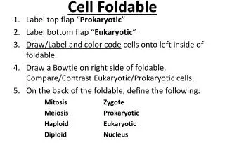 Cell Foldable