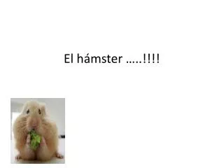 el h mster