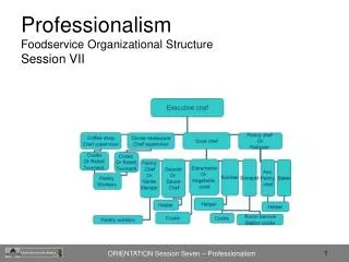 Professionalism Foodservice Organizational Structure Session VII