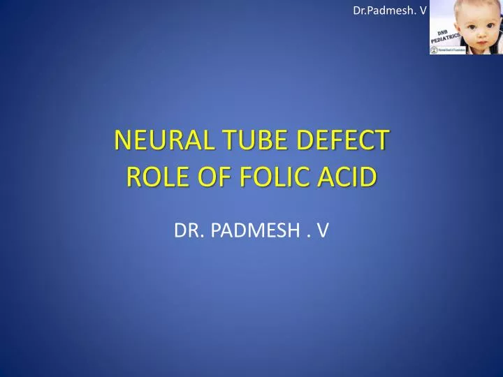 neural tube defect role of folic acid