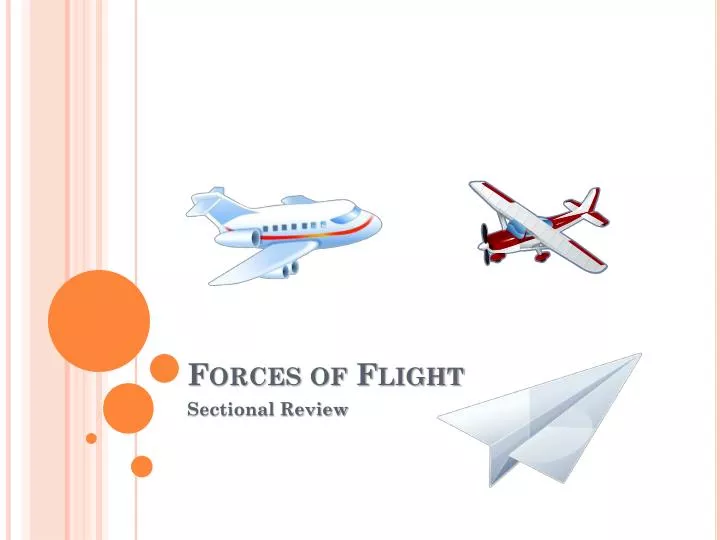 forces of flight