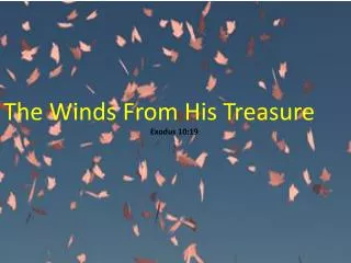 The Winds From His Treasure