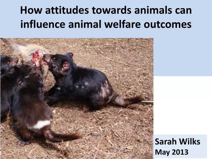 how attitudes towards animals can influence animal welfare outcomes