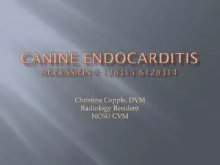 Canine Endocarditis Accession # 128315 &amp;128314