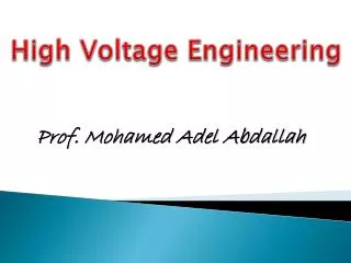 Prof. Mohamed Adel Abdallah