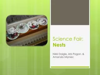 Science Fair: Nests