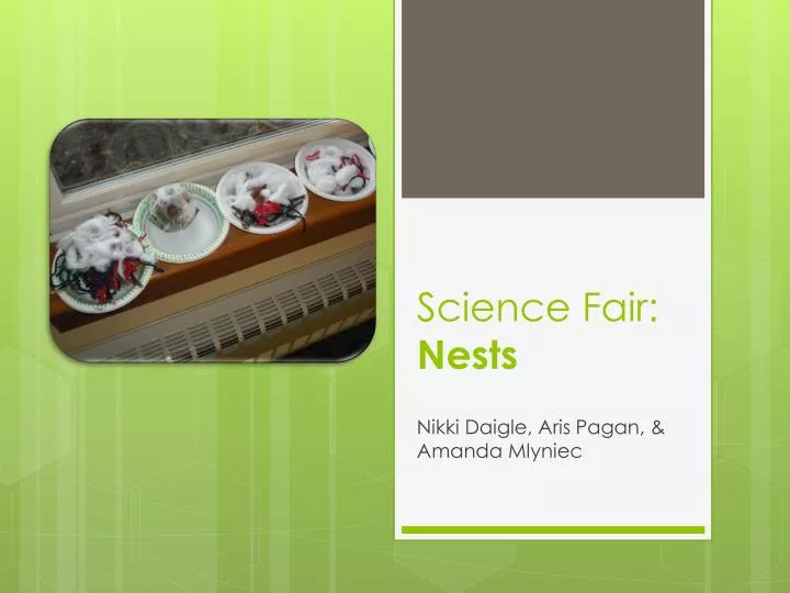 science fair nests
