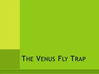The Venus Fly Trap