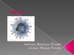 Virus - slide 1